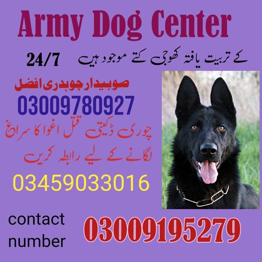 Army Dog Center