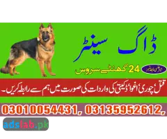 03135952612-Army dog center Haripur contact