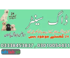 03450682720-Army dog center Abbottabad contact - 1