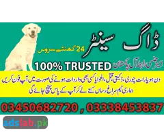 03450682720-Army dog center Dera Ismail Khan contact