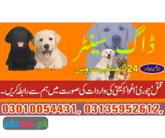 Army dog center Mianwali contact, 03450682720