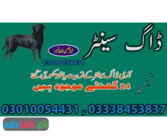 Army dog center Rajanpur contact, 03450682720