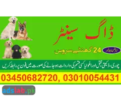 Army dog center Rahim yar khan contact, 03450682720 - 1