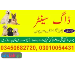 Army dog center Jhelum contact, 03450682720
