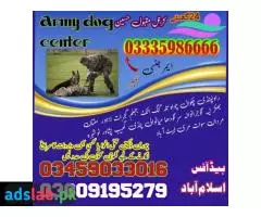 Army Dog Center Islamabad | 03358966073