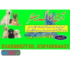 Army dog center Sialkot contact, 03450682720