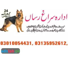 Army dog center Lahore contact, 03450682720