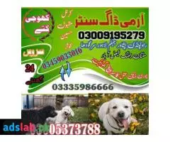 Army Dog Center Mirpur Khas | 03335986666