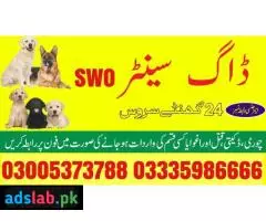 Army Dog Center Muzaffarabad | 03458966073