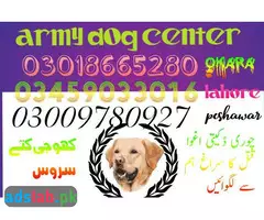 Army Dog Center | Bahawalpur 03009780927