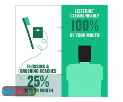 Listerine Freshburst Antiseptic Mouthwash for Bad Breath, Kills 99% of Germs - 1
