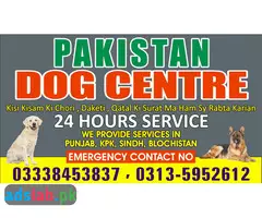 Army Dog Center Chhor 03010054431