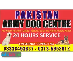 Army Dog Center Muzaffarabad 03010054431 - 1