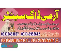 Army Dog Center New Mirpur 03010054431