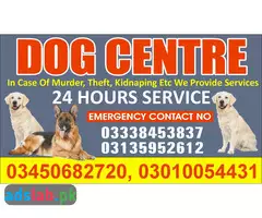 Army Dog Center Topi 03010054431 - 1