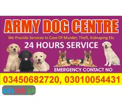 Army Dog Center Chakwal 03010054431