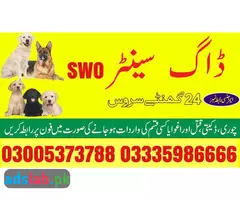 Army Dog Center Karachi