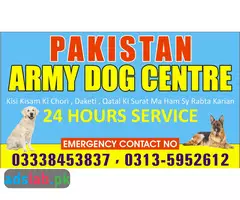 Army dog center Bhakkar contact, 03450682720
