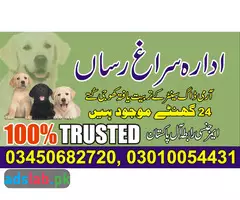 Army dog center Mianwali contact, 03450682720 - 1