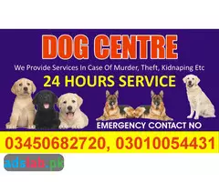 Army dog center Haripur contact, 03450682720