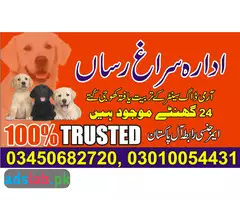 Army dog center Mansehra contact, 03450682720