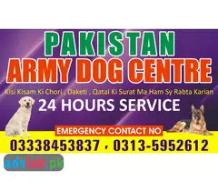 Army dog center Mardan contact, 03450682720