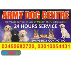 Army dog center Peshawar contact, 03450682720