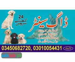 Army dog center Kohat contact, 03450682720