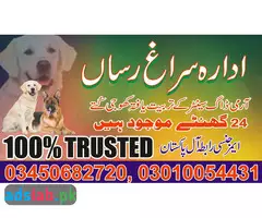 Army dog center Quetta contact, 03450682720
