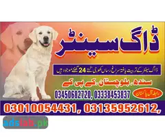 Army dog center Gwadar contact, 03450682720