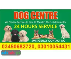 Army dog center Hyderabad contact, 03450682720 - 1