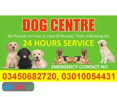 Army dog center Jacobabad contact, 03450682720