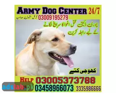 Army Dog Center Jauhrabad 03458966073 - 1