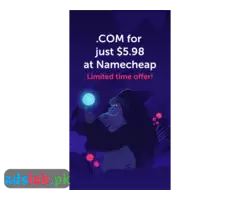 Namechaeap discount pkg