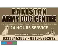 Army dog center Rawalpindi contact, 03450682720