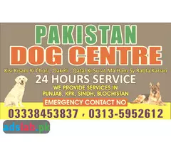 Army dog center Jhelum contact, 03450682720 - 1