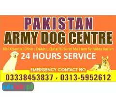Army dog center Kharian contact, 03450682720 - 1