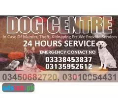 Army dog center Gujrat contact, 03450682720 - 1