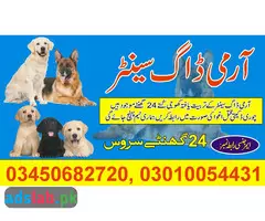 Army dog center Multan contact, 03450682720