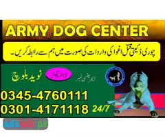 Army dog center Bahawalpur 03454760111