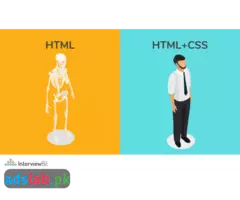 learn html css online in 10 days - 2