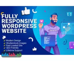 I will do design and build a professional wordpress website