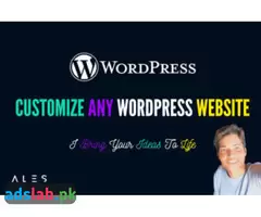 I will customize wordpress website and make it look amazing - 1