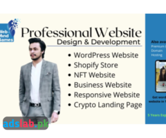 I will develop professional wordpress website design