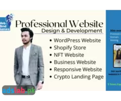 I will develop professional wordpress website design - 1
