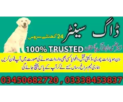 Army dog center Mirpur Khas contact, 03450682720