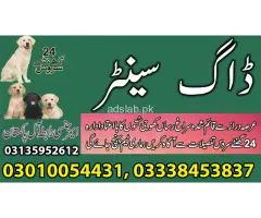 Army dog center Lahore contact, 03450682720