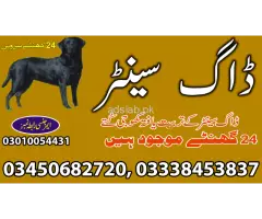 Army dog center Gujranwala contact, 03450682720
