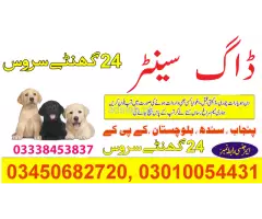Army dog center Pindigheb contact, 03450682720