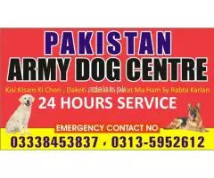 Army Dog Center Faisalabad 03010054431